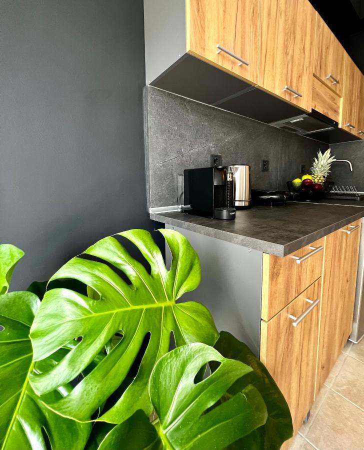 Downtown Apartments Rhodes City Bagian luar foto
